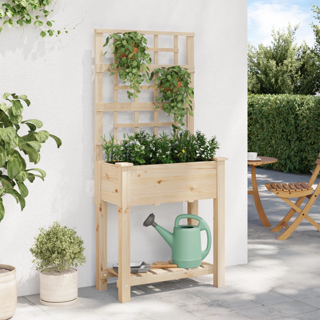 Fioriera da Giardino con Trellis e Ripiano 71x37x152 cm in Legno Massello di Abete