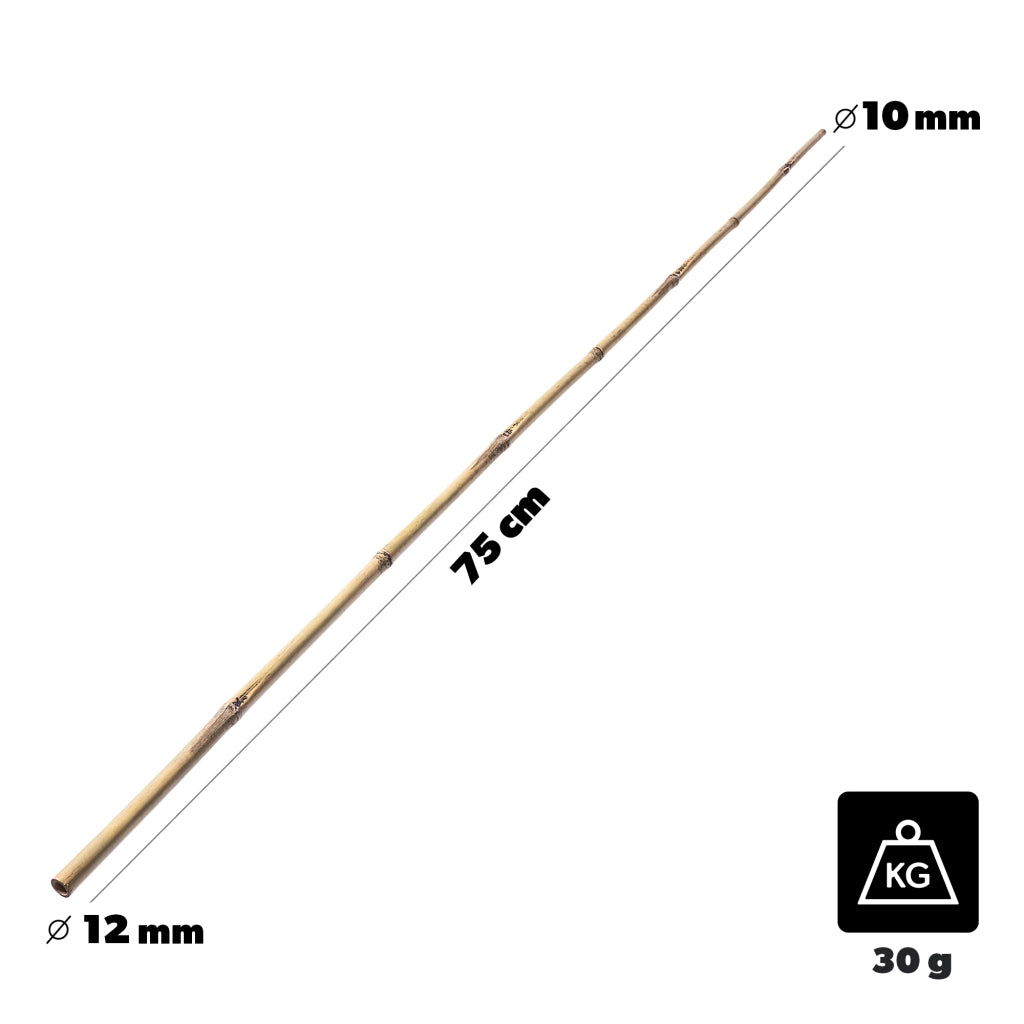 KADAX Bambusowa podpora ogrodowa 75cm x 10/12mm K1
