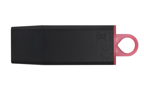 Kingston DTX/256GB