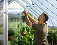 Serra Da Giardino in Policarbonato Balance Ibrida  366X304X257 cm Argento