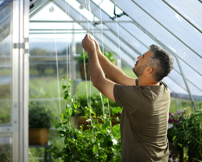Serra Da Giardino in Policarbonato Balance Ibrida  366X304X257 cm Argento