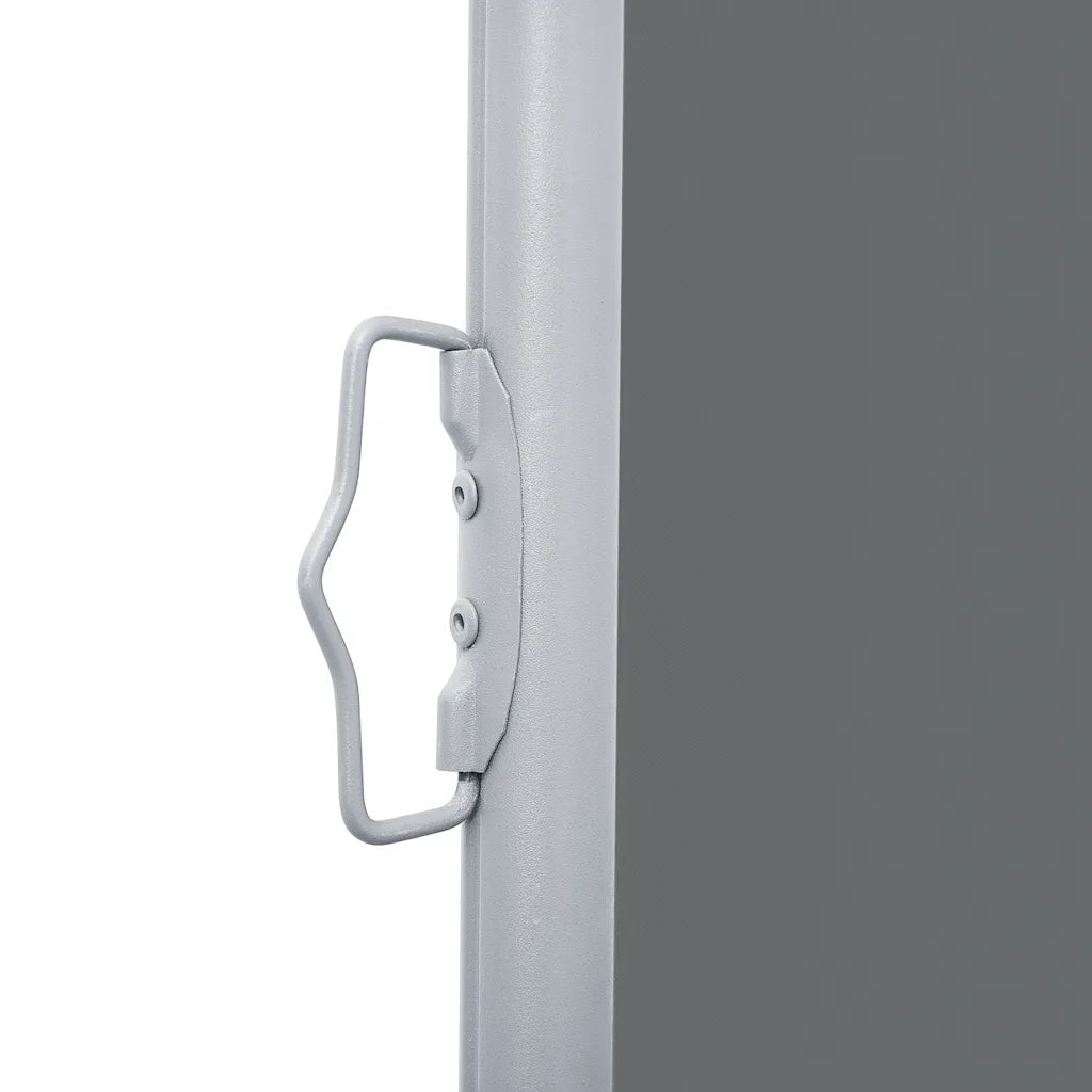 Tenda da Sole Laterale Retrattile Antracite 120x600 cm 48450