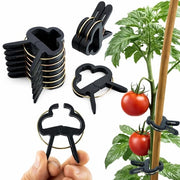Clips per piante 60x - Riciclabili - Imbottitura semplice - Supporto per piante rampicanti - Adatto per pomodori/melanzane - Forma naturale - Vasi per piante