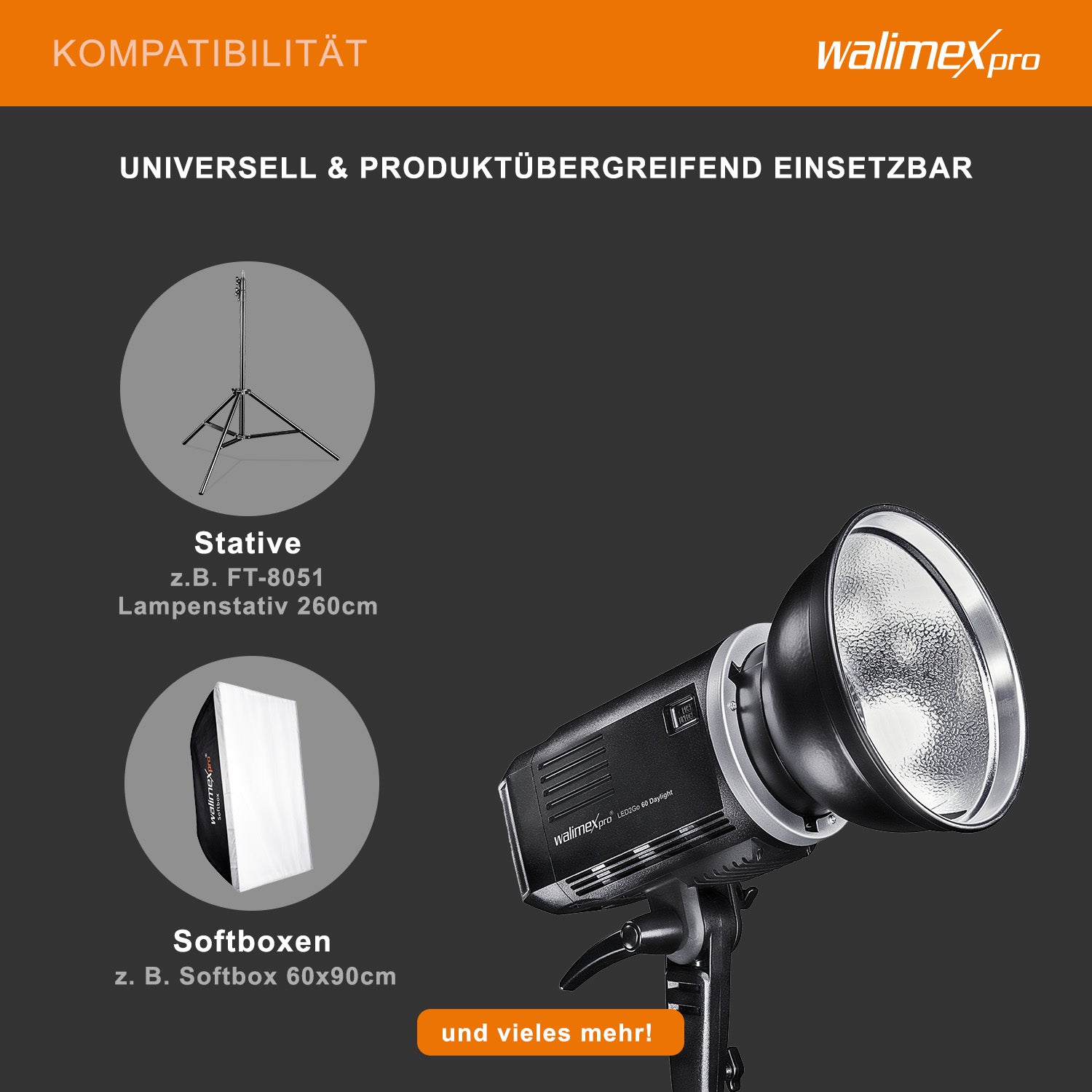 LED2Go 60 Faro per fotografia 60 W Luce LED fotografica con batteria, per foto e video, attacco Bowens tipo S, tecnologia COB