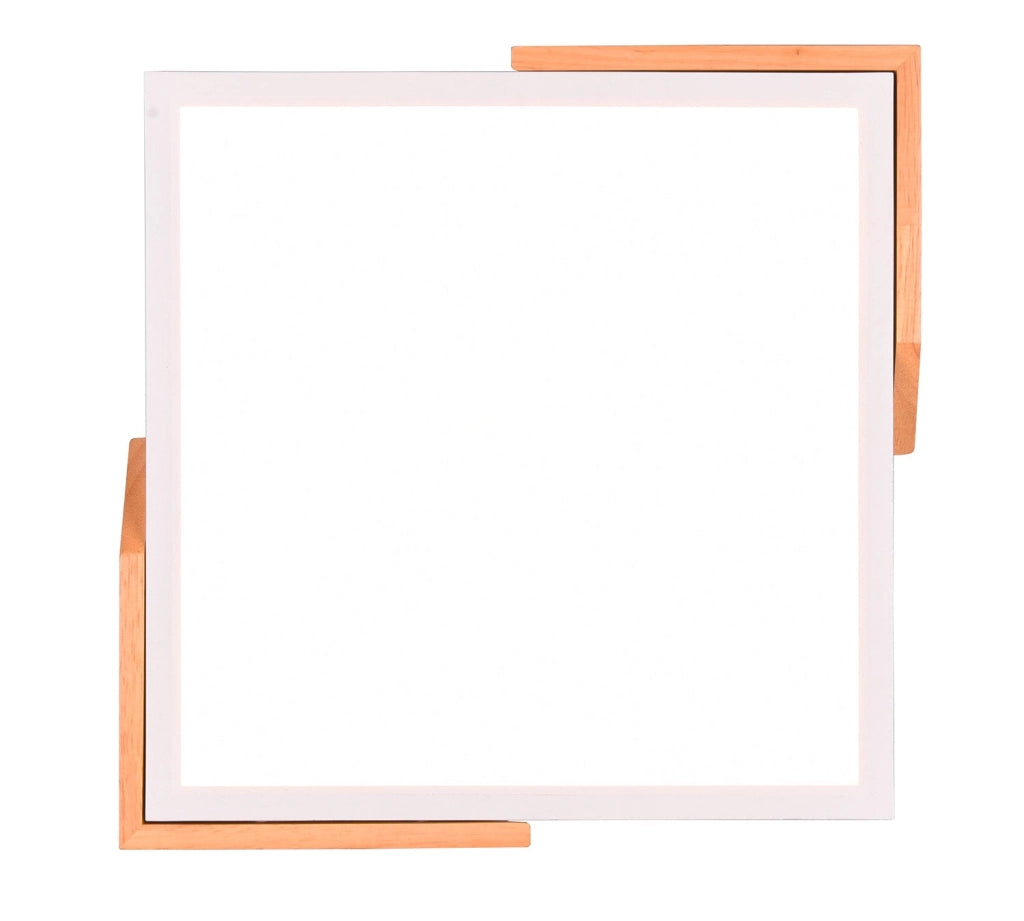 Plafoniera da Interno a LED in Plastica Bianco Opaco