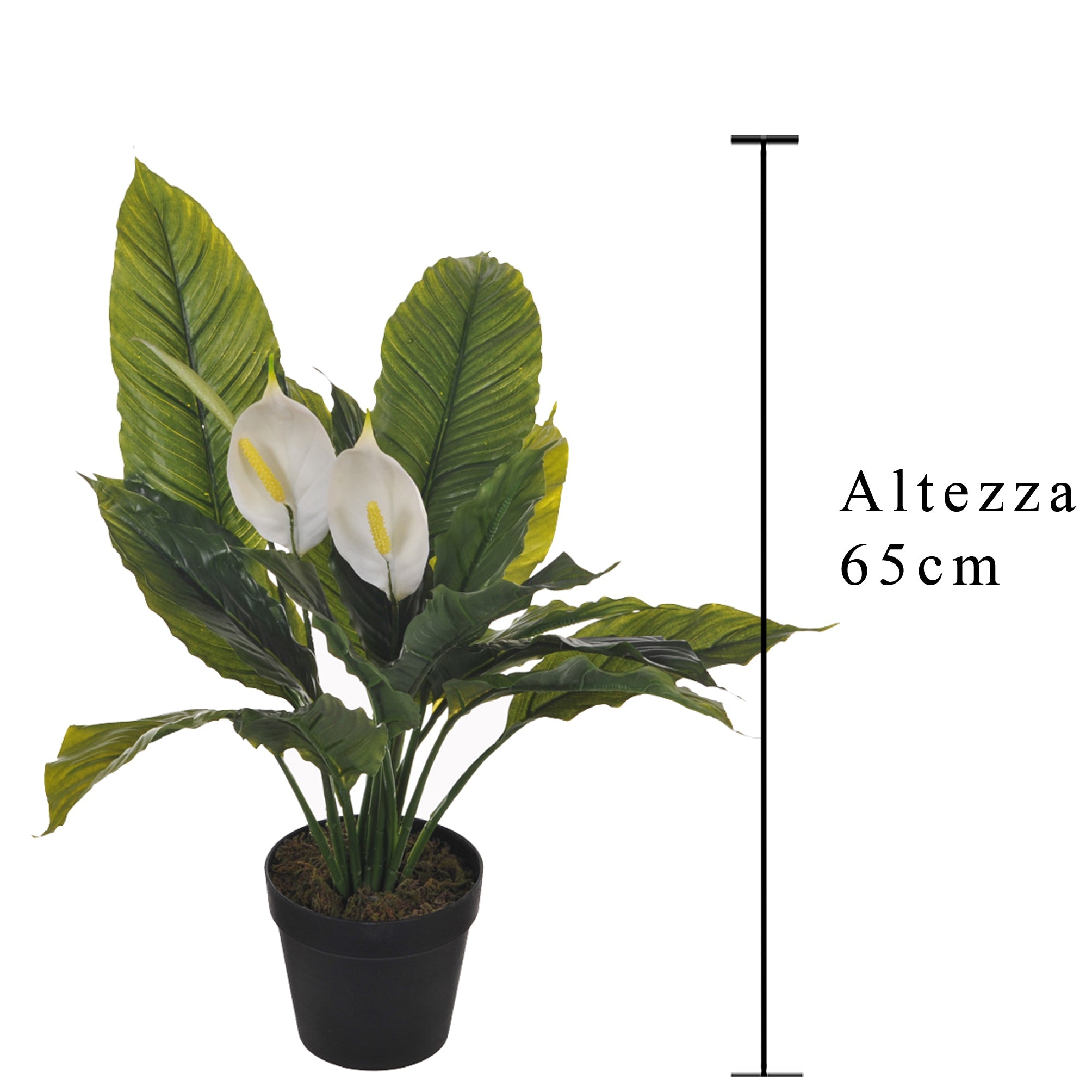 Pianta Artificiale Spathipilium con Vaso H 65 cm
