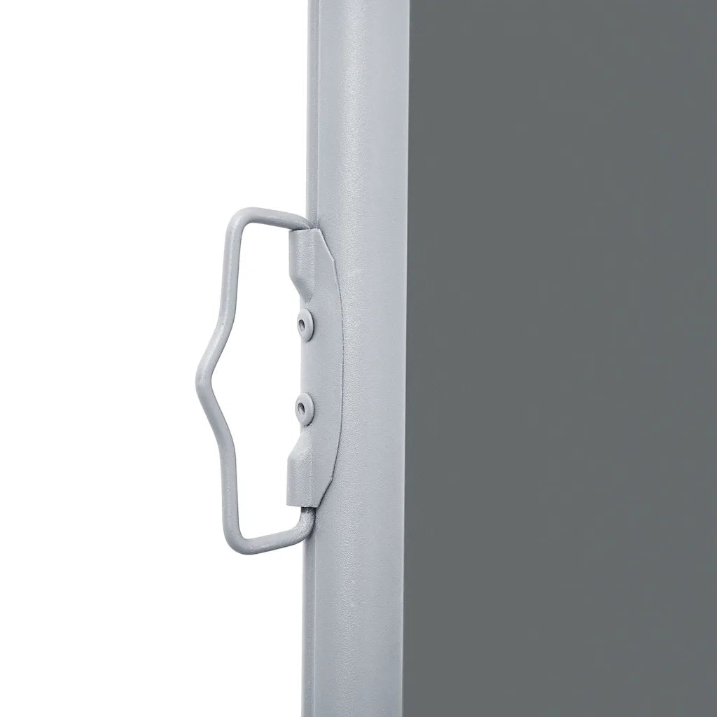 Tenda da Sole Laterale Retrattile-Tenda parasole per balcone Antracite 100x600 cm 770008