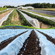 Foglia di plastica per orto trasparente, 3m x 10m, impermeabile all'acqua, per protezione orto, foglia di plastica per orto, per orticoltura, per protezione tomate