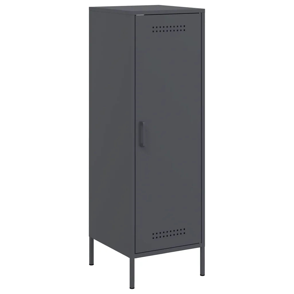 Credenza | Madia | Buffet da pranzo | Armadio da pranzo Antracite 36x39x113 cm in Acciaio