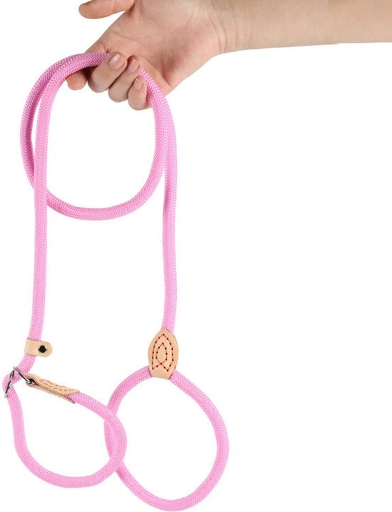 Cinturone per cani da 150 cm, con meccanismo di regolazione, adatto per cuccioli, piccoli, medi e grandi cani. 14mm*150cm, Rosso