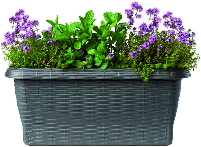 Bama FIORIERA RETTANGOLARE PAGLIA NORMAL Col. Antracite cm. 50x20x17,5 h