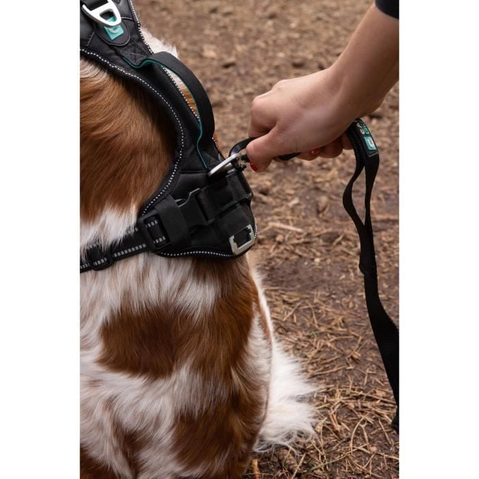 Pettorina per cani - SYMBIOZ - XXS - Nera / Blu