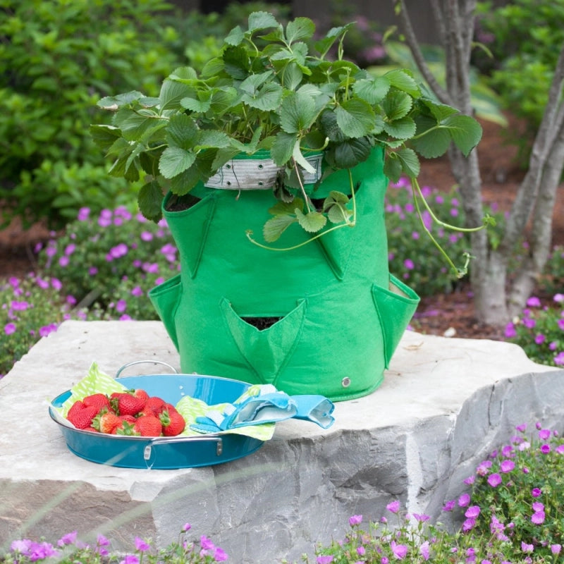 Vaso per Fragole in tessuto BloemBagz, da 35 litri, colore marrone