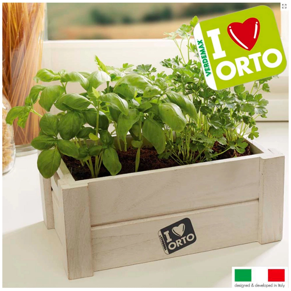 Kit contenitore easyorto basilico e prezzemolo in cucina sul davanzale e in giardino
