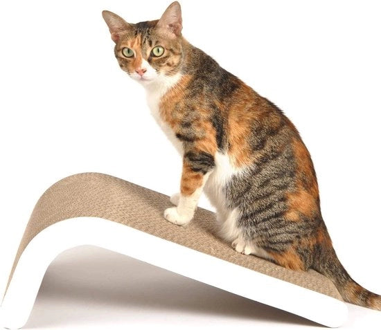 Scatole per gatti con erba gatta, scatole di cartone di alta qualità e mobile da costruire con beccuccio per gatti, diverse angolazioni, 45 x 25 x 19 cm