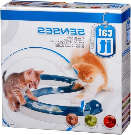 Circuito di gioco Play inclusivo di pallina.
