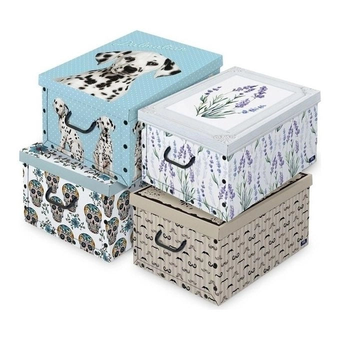Domopak Living Scatola con maniglie