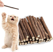 Sticks per il gatto 30 pezzi - Sticks per la cura dei denti naturali - Salute della bocca - Sticks in legno - Sticks rinfrescanti per l'aria