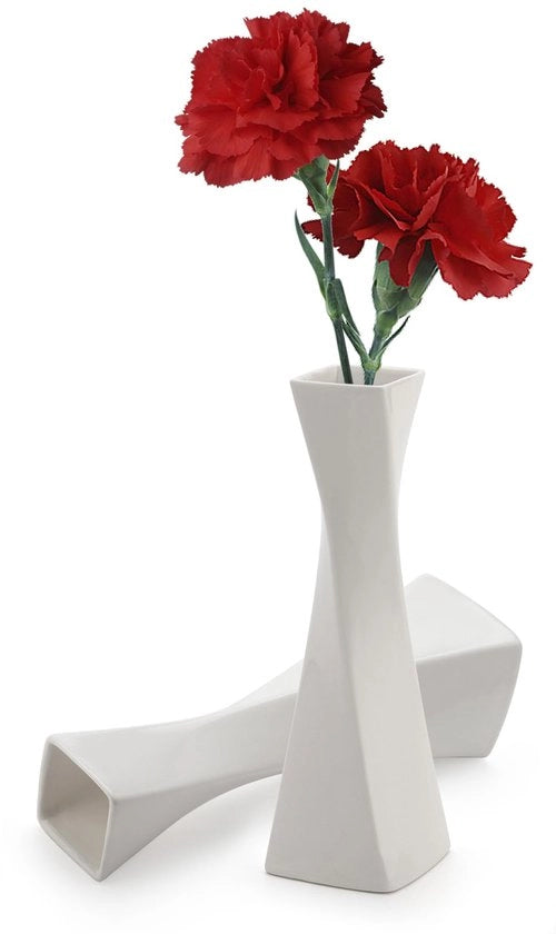Vasi decorativi in ceramica, set di vasi per decorazione di casa, set di vasi rustici in ceramica, 2 pezzi (bianchi)