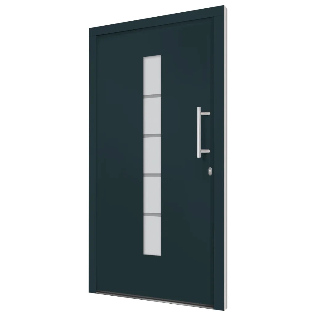 Porta d'Ingresso in Alluminio e PVC Antracite 100x210 cm 3056813