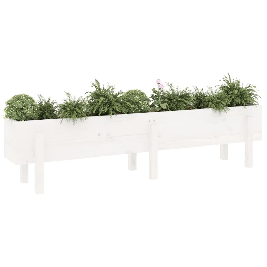 Fioriera | Cassetta per fiori | Vaso Rialzata da Giardino Bianca 160x30x38 cm Massello Pino