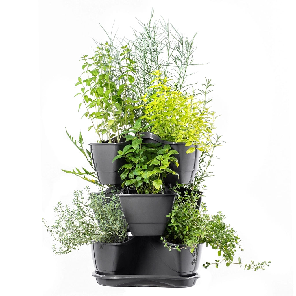 Vaso da fiori KADAX, vaso per fiori, coperchio in plastica, tripla cascata, supporto per fiori 3 in 1