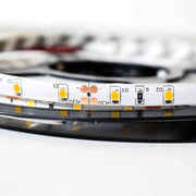 Striscia LED Milagro PRO 5m 24W 3000K bianco caldo IP65