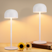 ZMH Lampada da tavolo LED set 2 pezzi wireless dimmerabile 3 temperature per camera letto soggiorno