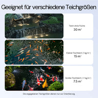 CPF-30000 SET 60000l 55W UVC NEO6000 Pompe Tubo Set per Laghetti