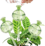 Irrigazione automatica per piante - 3 pezzi, bagnare fiori, verde