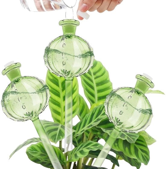 Irrigazione automatica per piante - 3 pezzi, bagnare fiori, verde