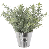 PIANTA CON VASO A SECCHIELLO