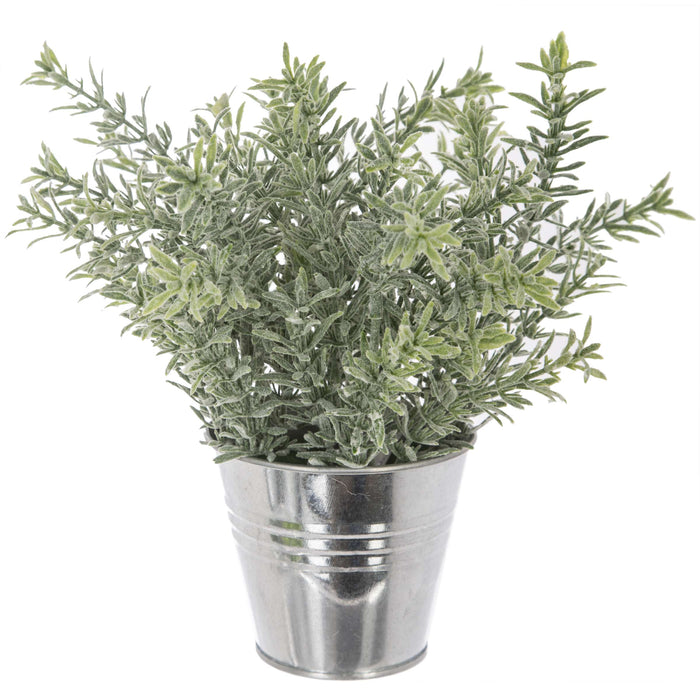 PIANTA CON VASO A SECCHIELLO