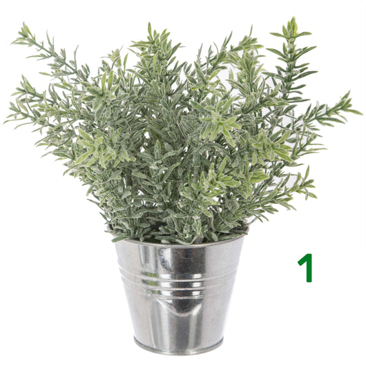 PIANTA CON VASO A SECCHIELLO