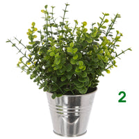 PIANTA CON VASO A SECCHIELLO