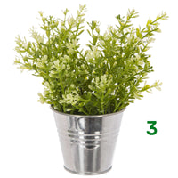 PIANTA CON VASO A SECCHIELLO