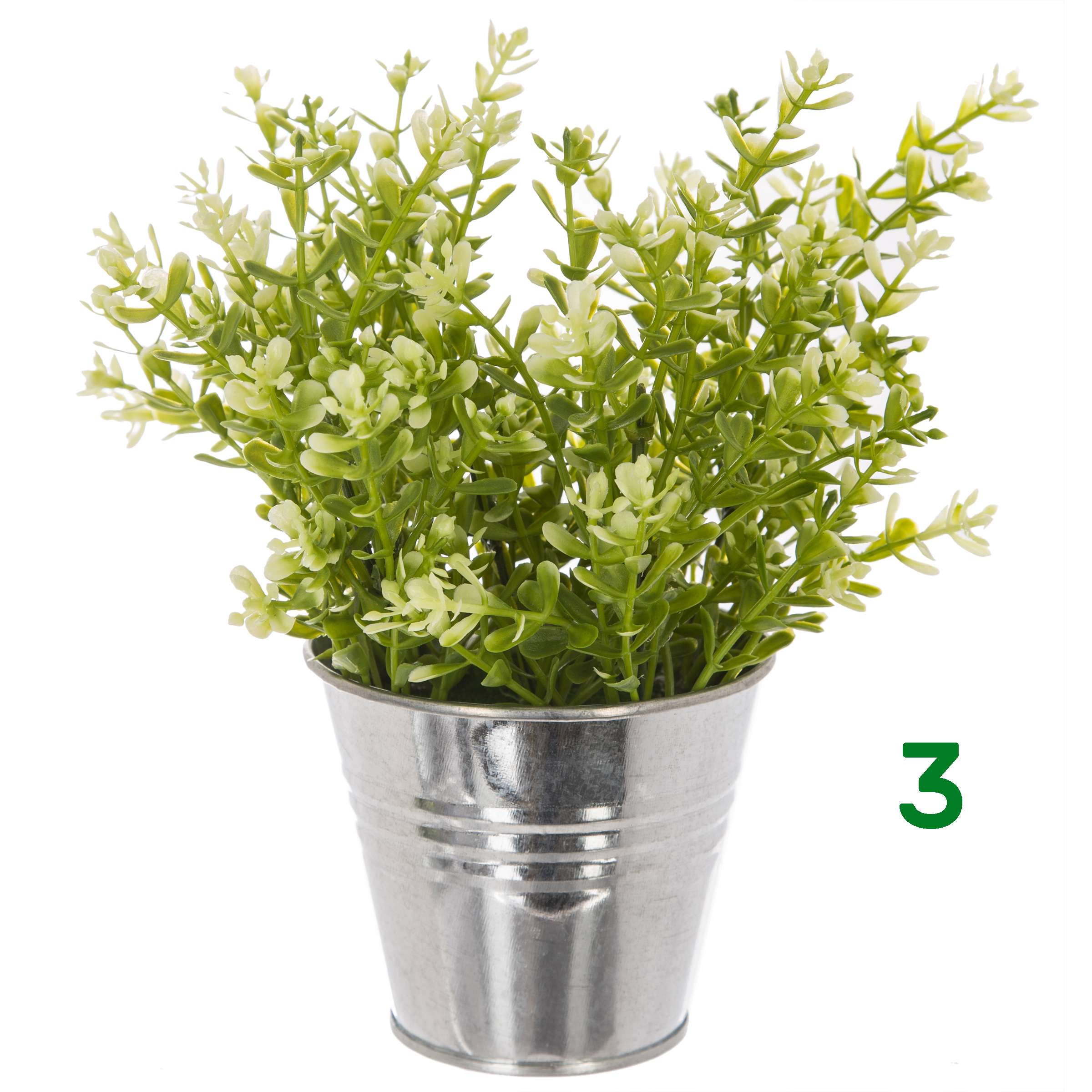 PIANTA CON VASO A SECCHIELLO