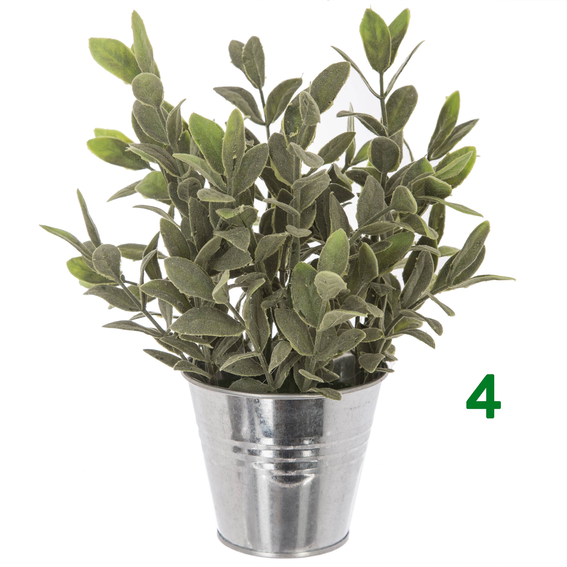 PIANTA CON VASO A SECCHIELLO