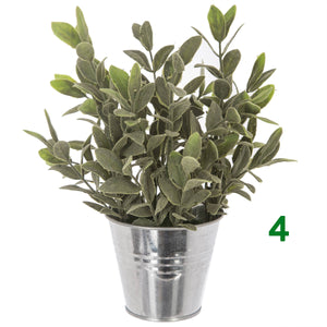 PIANTA CON VASO A SECCHIELLO