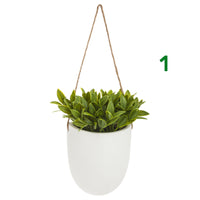 PIANTINA CON VASO SOSPESO H20