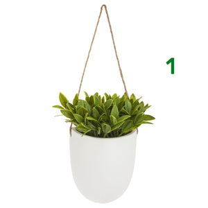 PIANTINA CON VASO SOSPESO H20