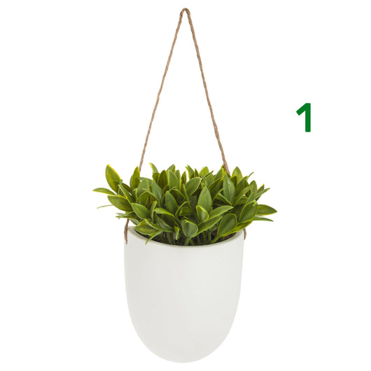 PIANTINA CON VASO SOSPESO H20