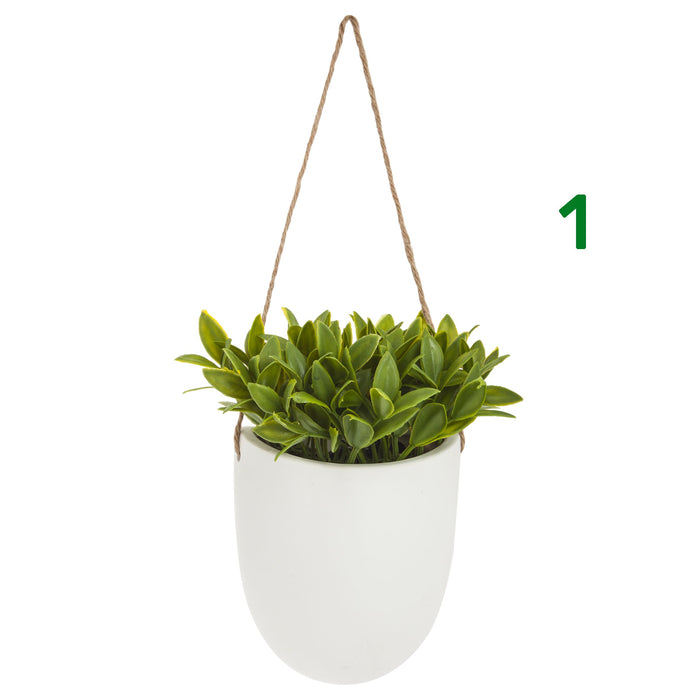 PIANTINA CON VASO SOSPESO H20