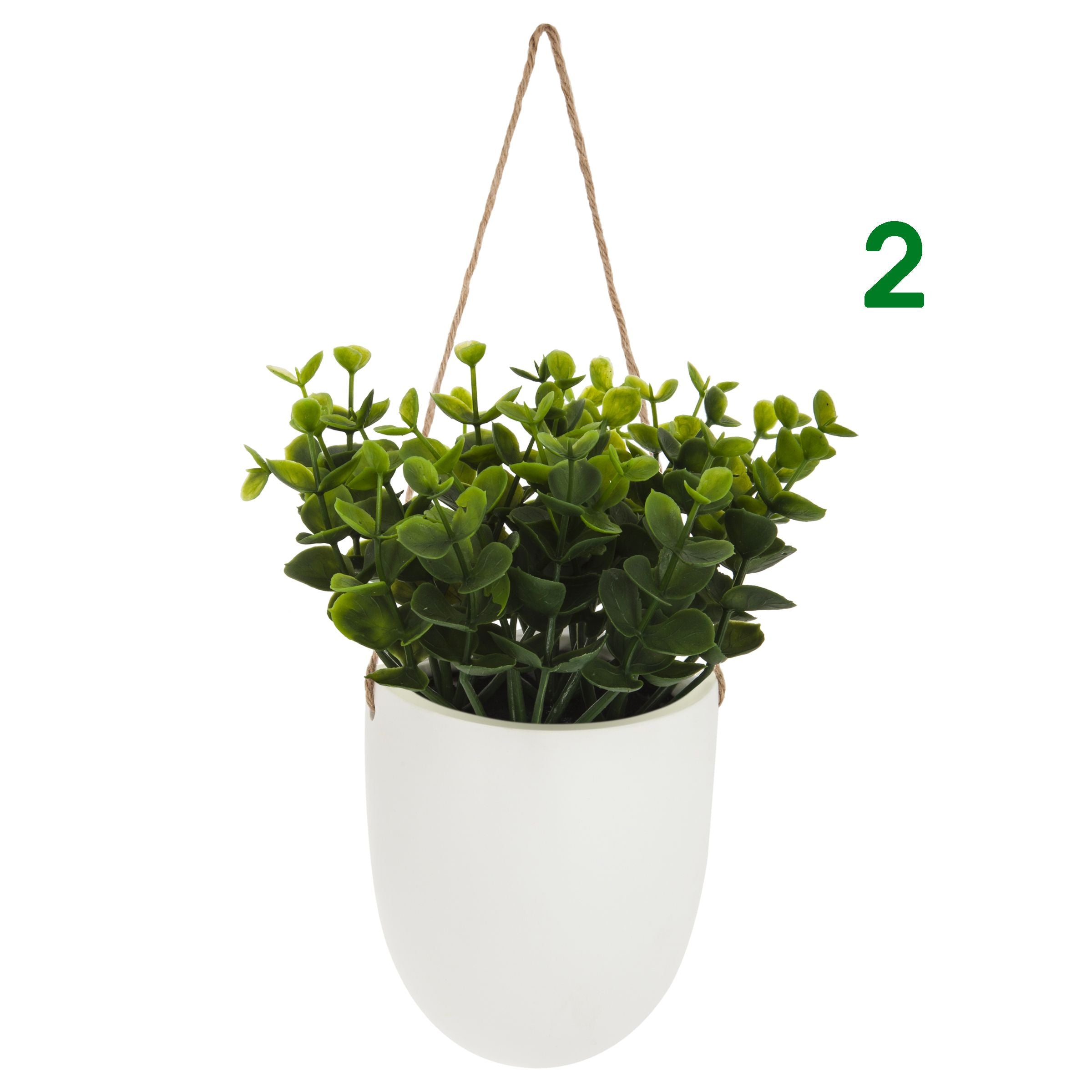 PIANTINA CON VASO SOSPESO H20