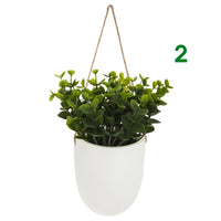 PIANTINA CON VASO SOSPESO H20