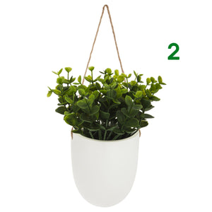 PIANTINA CON VASO SOSPESO H20