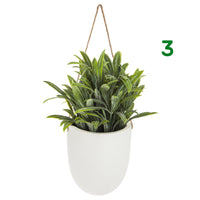 PIANTINA CON VASO SOSPESO H20