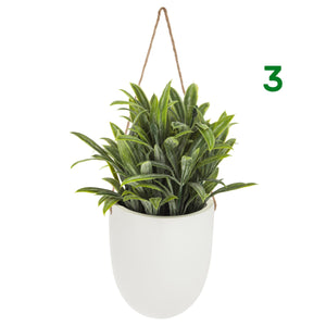 PIANTINA CON VASO SOSPESO H20