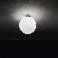 Plafoniera Contemporanea Grape Metallo Vetro Bianco 1 Luce E27