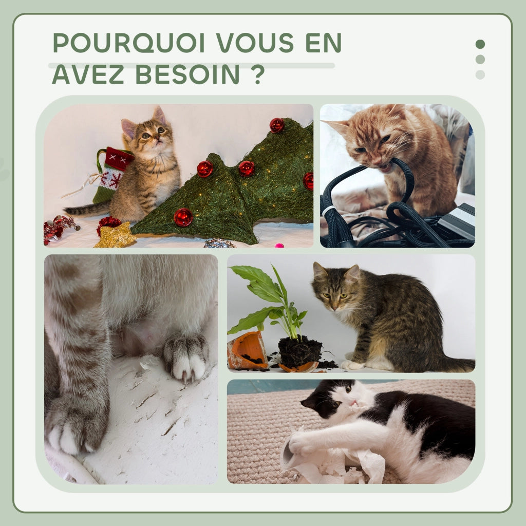 Arbre ¨¤ chat con 3 griffoirs sisal plateforme hamac ¨C zephmum ¨C 50x26x70 cm grigio